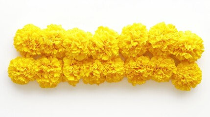 A cluster of bright yellow marigold flowers arranged on a clean white background, representing joy, good fortune, and positive energy