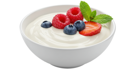 Isolated Bowl of Yogurt with Berries