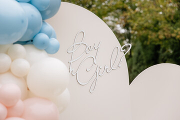 Luxury arch photo zone for gender party with blue and pink balloons on a park background with green grass. Boy or girl