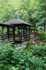 Wald in Th&uuml;ringen - Deutschland