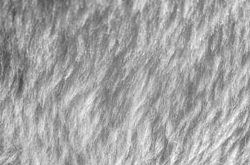 Close-up of white fluffy fur texture in grayscale for fabric design inspiration