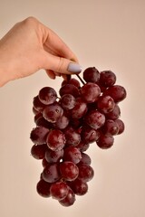 A woman holds a bunch of Spanish seedless grapes of the Kishmysh variety in her hand