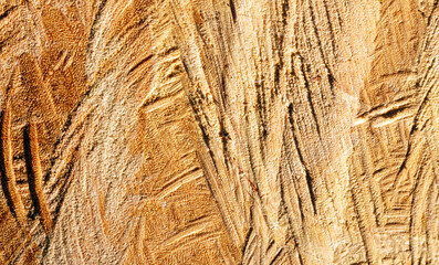 Close-up view of hardwood surface
