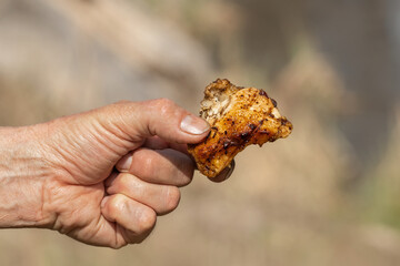 Juicy chicken fried over an open fire.Outdoor spring picnic.