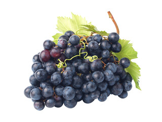 Bunch of grapes isolated on white