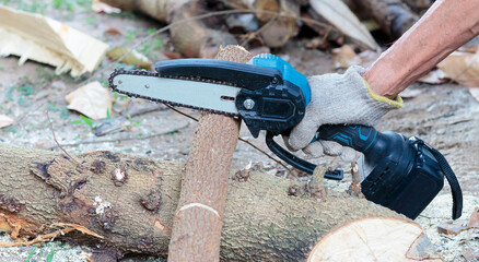 Cordless chain saw for cutting small wood ©  Mushroom House