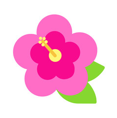 Hibiscus Illustration 