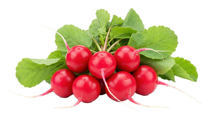 Isolated Heap of Fresh Radishes with Leaves