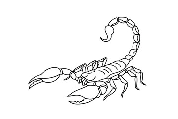 Line Art Drawing of a Desert Scorpion Arachnid Insect