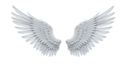 Isolated White Feather Wings