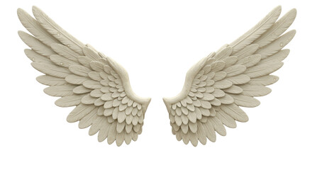 Obraz premium Isolated Pair of Beige Angel Wings