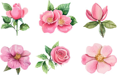 watercolor pink rose flower bouquet	
