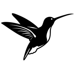 hummingbird vector illustration
