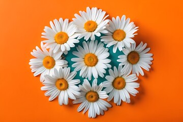 Fototapeta premium bouquet of white daisies