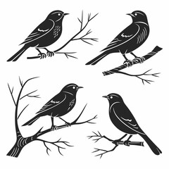 bluebell icon set silhouette vector bundle