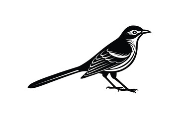 Obraz premium Mocking Bird Vector Design with White Background