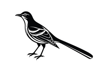 Obraz premium Mocking Bird Vector Design with White Background