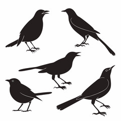 Obraz premium bluebell icon set silhouette vector