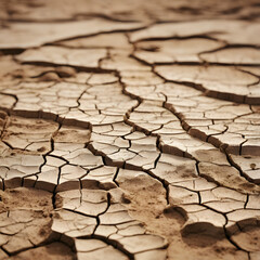Cracked Earth: A close-up shot of arid terrain showcases intricate patterns of cracks in the parched earth, highlighting drought conditions