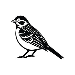 Stunning Grasshopper Sparrow Bird Vector Design on White Background