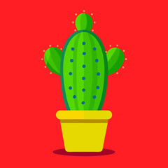 cactus in a pot