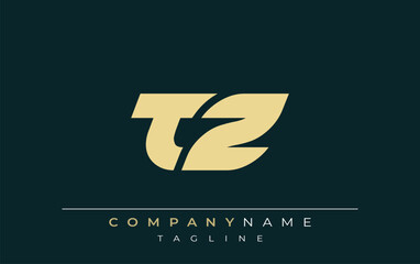 TZ Sleek Geometric Logo Design. Neutral colors and minimalist style create a professional and contemporary impression, suitable for branding and corporate identity.