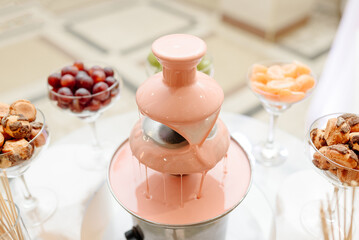 pink chocolate fountain, entertainment for guests in holidays and celebrations, unusual banquet decoration