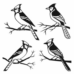 Blue Jay icon set black silhouette vector bundle