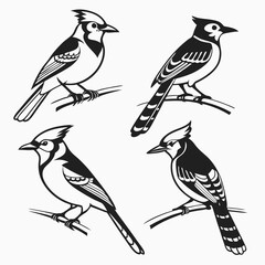 Blue Jay icon set black silhouette vector bundle
