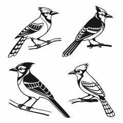 Blue Jay icon set black silhouette vector bundle