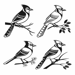 Blue Jay icon set black silhouette vector bundle