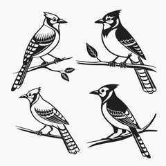 Blue Jay icon set black silhouette vector bundle