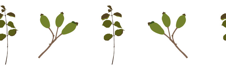 Leaves border on a white background. Hand-drawn illustration. Perfect for spring and summer.	