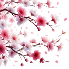 Cherry Tree Background PNG Transparent 