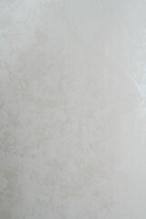 Light gray background with soft uniform texture