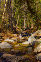 Amazing cascade on mountain river in the forest