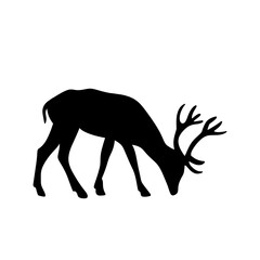deer silhouette