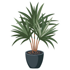 Indoor plants vector