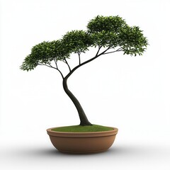 Obraz premium Serene Bonsai Tree in Brown Pot A Symbol of Peace and Tranquility