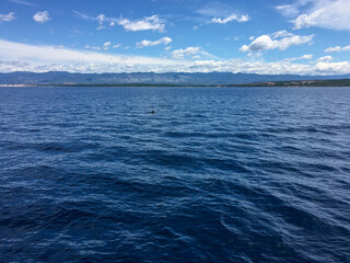 Obraz premium Croatian Coastal Calm