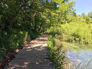 Naklejka premium Tranquil Turquoise Waters of Plitvice Lakes