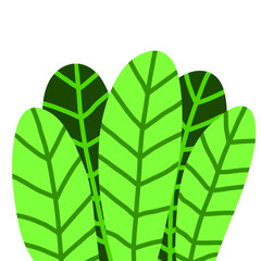 green leaves isolated on white background