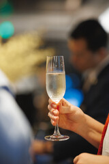 A person is elegantly holding a glass of champagne in their hand, showcasing the beauty of the stemware and liquid inside