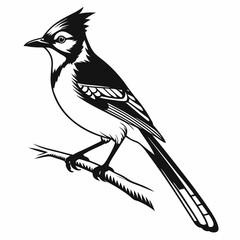 blue jay black silhouette vector
