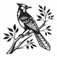 blue jay black silhouette vector