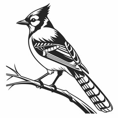 blue jay black silhouette vector