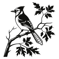 blue jay black silhouette vector