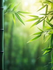 Close-up of bamboo forest, centered composition, natural artistic conception