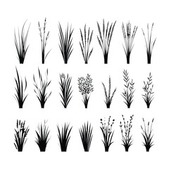 Grass vector silhouette set black color on isolated white background