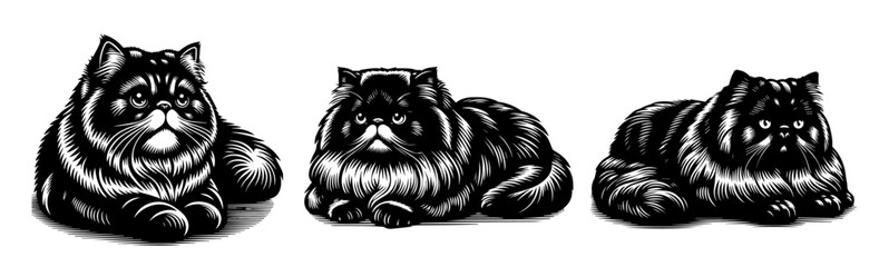 persian cats black and white vector set
